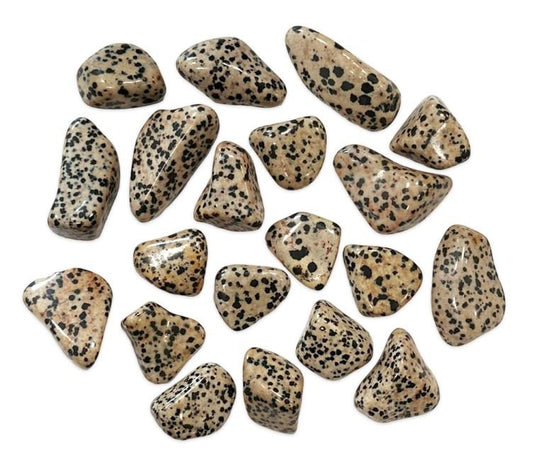 Jaspe dalmatien pierre roulée  2-3 cm
